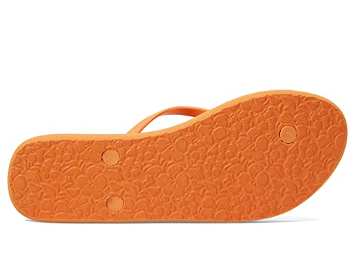 Image of Roxy Women's Antilles Flip Flop Sandal