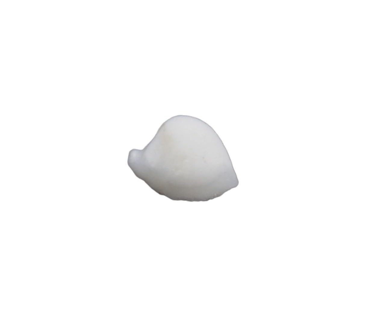 Dharmsaar White Mach Mani Stone Original, Certified Machmani Stone, Natural Sea Stone Meen Mukta for Rahu Ketu Mangal Dosh and Vastu Problems, Machh Mani Fish Stone Pearl (3.92 Cts) (B0CBVCZ7Y1) Amazon Price History, Amazon Price Tracker