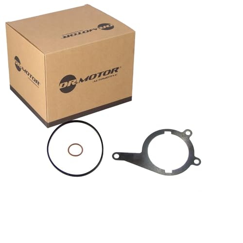 DR.MOTOR AUTOMOTIVE DRM01720 Junta bomba de vacío