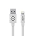 IJOY Apple Certified Lightning to USB Cable - 6 Feet (1.8 Meters) - White