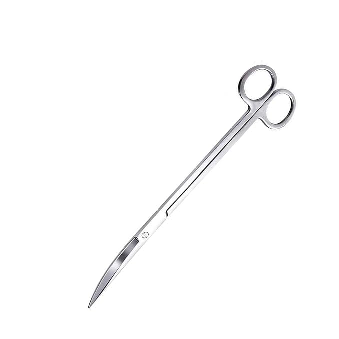 Premium Stainless Steel Aquascaping Tools Bend Scissors- 25CM for Planted Aquariums" (B0D1KJP5F5) Amazon Price History, Amazon Price Tracker