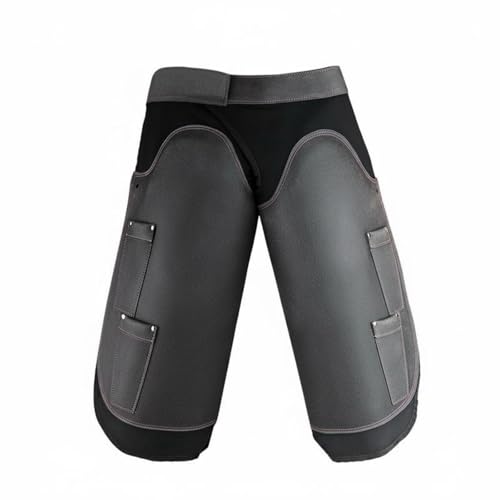 [Qialexicon] �n���t�p�G�v���� �ی� ����Ɨp�G�v���� �ϖ��� �n���B�t���p�`���b�v�X �v���d�l ���S�t�`���b�v�X ����� �����p�ی�� ��n��Ǝҗp