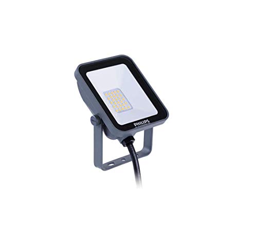 Philips Lighting 911401733362 LED Floodlight 20W With Microwave Sensor