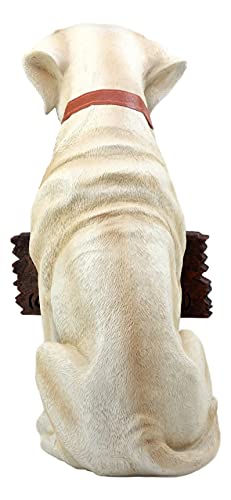 Estatua Decorativa de Labrador Retriever Resina 13.5 pulg Amarillo miniatura 5