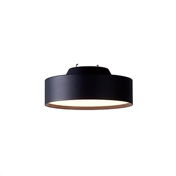 アートワークスタジオ シーリングライト ブラック φ220mm Glow LED-ceiling light｜ARTWORKSTUDIO公式
