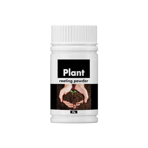  [gu[X^[ 50g |p  c ̐A A zpE_[ i A ATvg pE_[ NCbN |{y엿 ≷̕i̍h엿 h{엿 A̗{ ʑ 