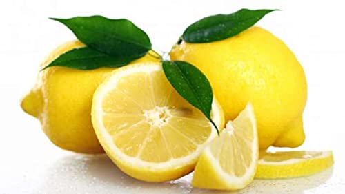 See full amazon price history chart for Kagzi Hybrid Lemon Seed 60 SEED Kagzi Hybrid Lemon Seed 60 SEED (B09JWCKV63) Amazon Price History, Amazon Price Tracker