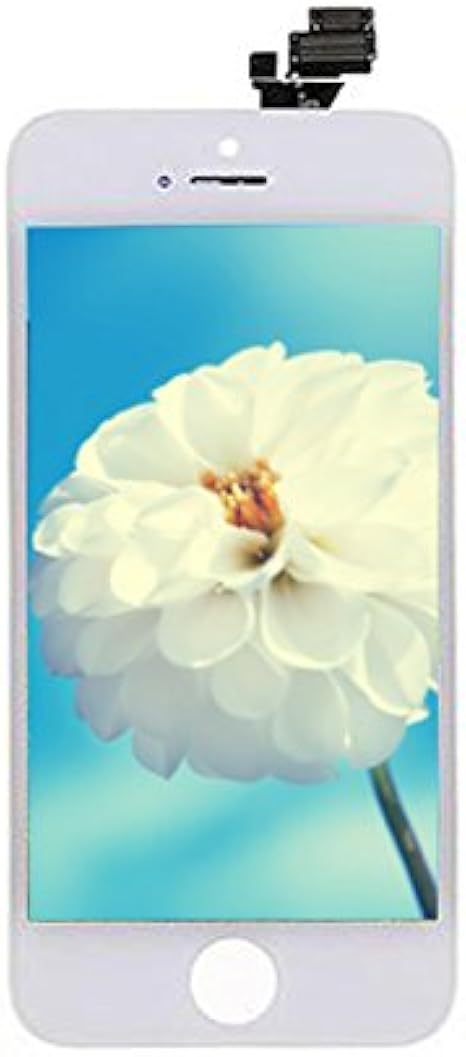 DAN SPEED Pantalla de Reemplazo Táctil Nueva Pantalla Táctil del LCD para iPhone 5 5S 5C SE