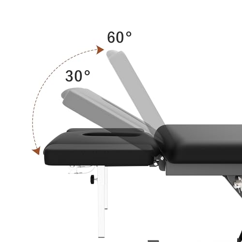 Image of Dolonm 2 Motors Electric Massage Table, Hydraulic Electric Lift Adjustable Waist and Height Lifting Functions for Treatment, Physical Therapy, Spinal Massage, Facial Spa, Waxing, Tattooing - Black