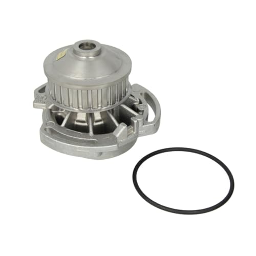 Hepu P515 Wasserpumpe