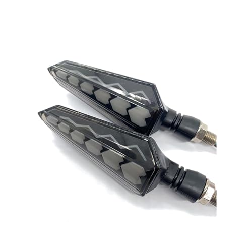 Intermitentes para motocicleta con luz intermitente 12V LED ABS 5