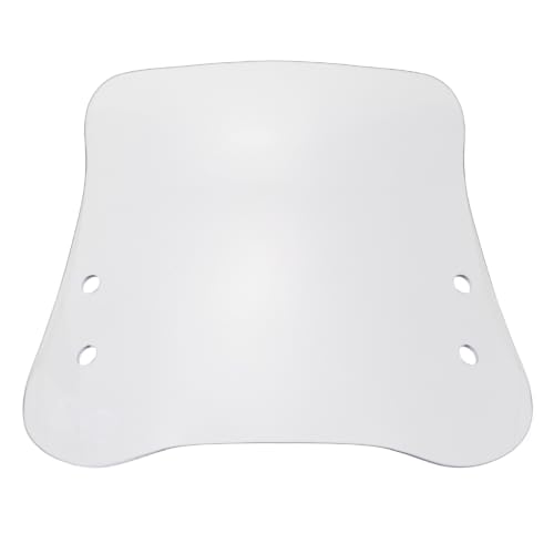 Amazon | デイトナ(Daytona) アクシスZ(17-21)専用 スクリーン