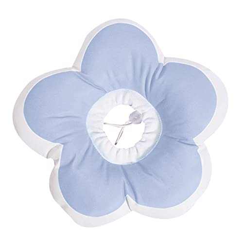 Qialexicon Ȃ߂̔L̎փ\tgybgR[L̎, , s