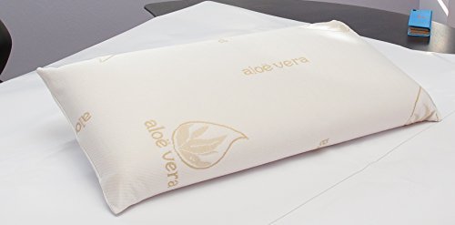 REGALITOS TV Almohada Aloe Vera, ANTIALÉRGICA, ANTIÁCAROS, INDEFORMABLE (105_cm)