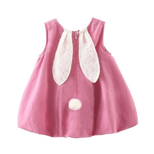 Baby Girl Summer New Dress Sweet Sleeveless Round Neck Chest Little Rabbit Accessories Back Long Ears Princess Dress