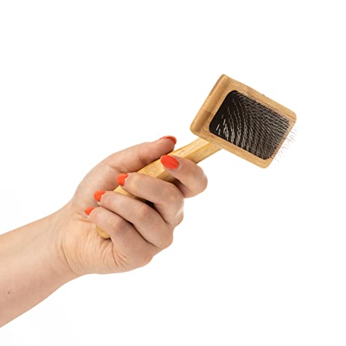 Mikki 6280031 Weiche Bambus-Zupfbürste mit Kugelköpfen für mittellanges/langes/lockiges Fell, Für Hunde und Katzen, Hergestellt aus nachhaltigem Bambus, Klein, S, 56 g