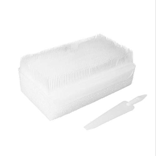 Careshine Disposable Surgical Scrub Brush Disposable Sterile Surgical Nail Scrub Brush Blister Packing Surgical Brushes Hands Cleaning Sponge Sterile Surgical Scrub Brush Dry Sterile 5Pcs