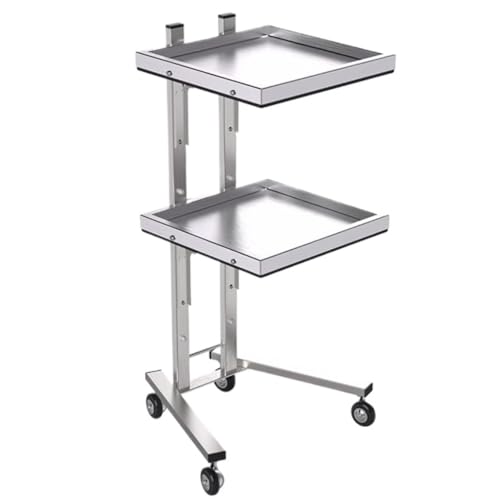 Carrello da parrucchiere a 2 livelli, per barbieri professionali, organizer per strumenti di bellezza con ruote