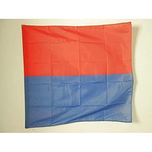 AZ FLAG, Canton of Ticino Flag, 3x3 Ft, 100% Polyester Ticino, TI Banner with Sleeve, Fade Resistant, Vivid Colors