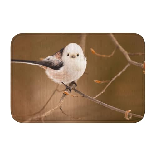 փ}bg V}GiK 킢  @}bg oX}bg ~ z  C}bg  킢 z  h Ɩp ƒp 40×60cm