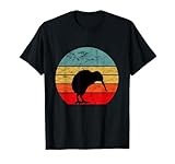 New Zealand Kiwi Vogel Kiwivogel
