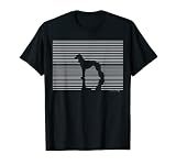 Para más accesorios y ropa Saluki, haga clic en la marca 