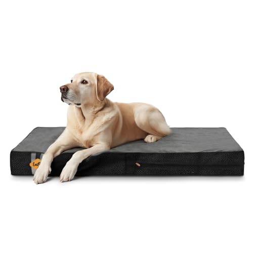 Laifug Orthopedic Dog Bed 40