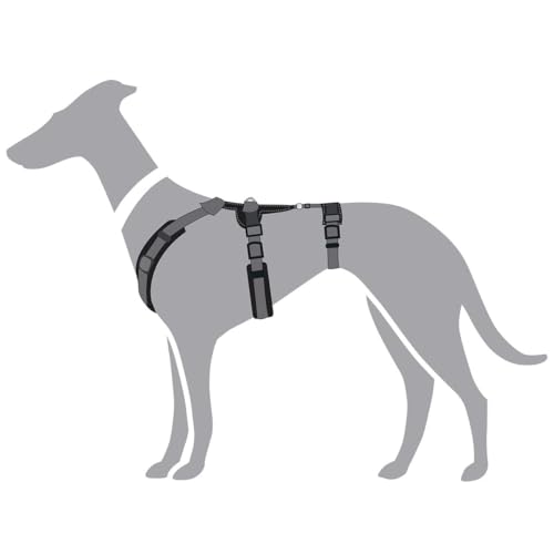 Sicherheitsgeschirr Maldon Farbe schwarz/grau, Größe S-M