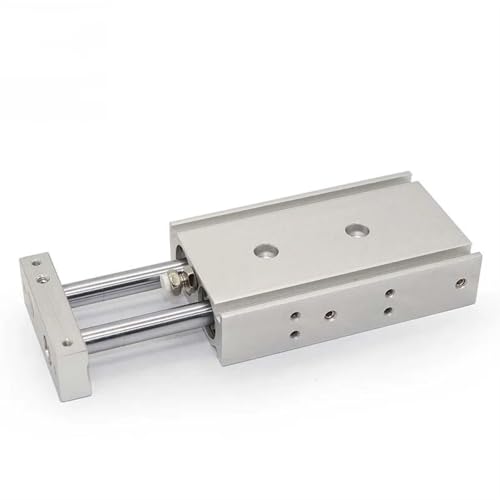 Vérin pneumatique double tige CXSM10 en acier inoxydable pour guidage précis