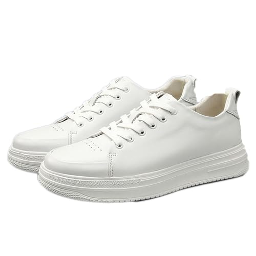 [IJGE] Y JWA Xj[J[ RC h y [Jbg JWAV[Y EH[LOV[Y [XAbv [N zCg fbLV[Y WjA AEghA n 傫TCY ʋC NbV 25.5cm j EH[L