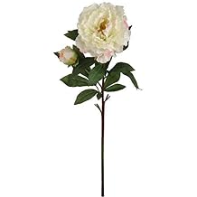 Larksilk Cream Peony Stems, 3 Pack 30in Silk Peonies with Pink Accents | Three 30in cream silk peony stems with soft pink accents for weddings, centerpieces & bouquets; bendable stems
