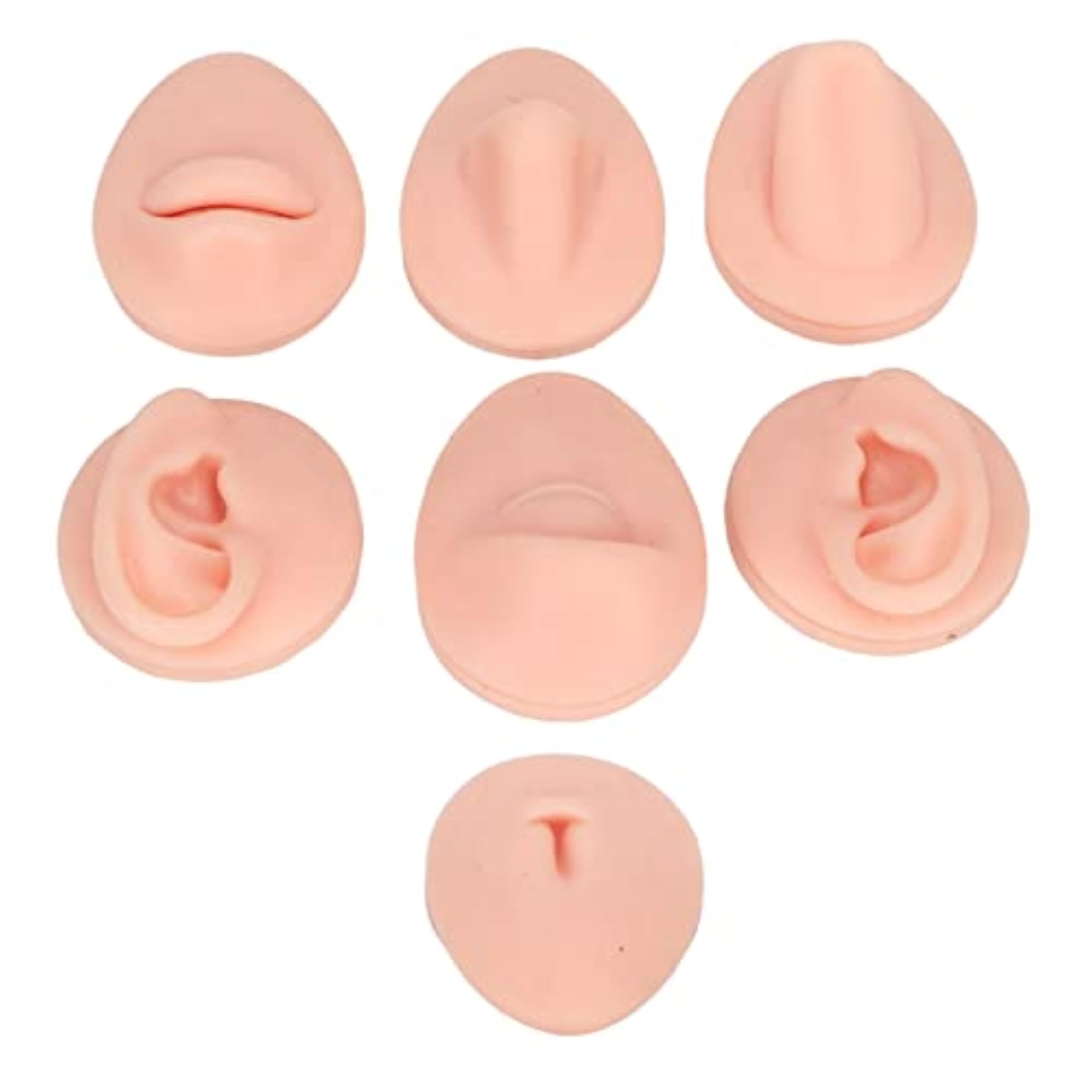 Body Piercing Practice Model, 3D Ear Simulation