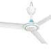 Fasyou Ventilatore da soffitto portatile Mini DC 12 V a bassa tensione da appendere a soffitto per la casa, campeggio elettrico ventilatore tenda ventilatore per campeggio, esterno bianco e blu