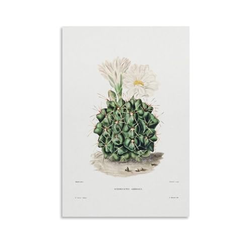 Black Chin Cactus by Charles Antoine Lemaire�A�[�g���[�N�{�[�h�A�E�H�[���X�e�b�J�[�A�C���e���A�f�U�C���|�X�^�[�A�����◾�̑����A�V�z�j���̃M�t�g�B 24x36inch(60x90cm) Unframe-style