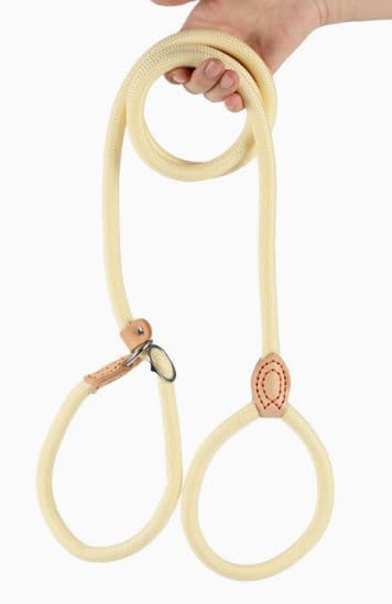 OSDUE Slip Lead for Small Medium Dogs,1.8m Dog Leash Rope, Pale Yellow