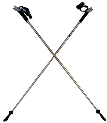 LEKI Nordic Walker Platinium Limited Edition Carbon Series 125cm Silver