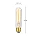 Globe Electric 01322 60W Vintage Edison T10 Radio Tube Incandescent Filament Light Bulb, E26 Base, 245 Lumens