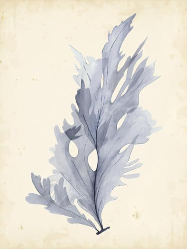 ART.COM Wall Art Print Watercolor Sea Grass VI by Grace Popp, 12' x 16'