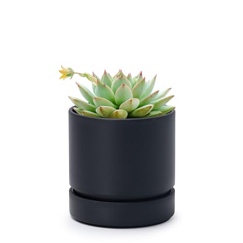 Phoenix Vine 4 Inch Planter Pot with Drainage Hole & Saucer, Deep Water Catch Tray, Straight Cylindrical Round Pot for Plants, Matte Black, Pack of 1, 23-C-R-1