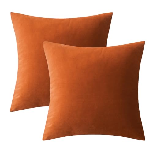 Image of MIULEE Velvet Throw Pillow Covers 12x20 Inch, Pack of 2 - Orange, Soft Solid Lumbar Fall Decorative Pillow Covers Modern Luxury Home Decor for Chair Couch Sofa Bedroom Livingroom