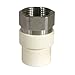Kbi Transition Adapter Cpvc/Cts 3/4 " Fip Epdm Washer 180 Psi Cpvc Stainless Steel Cpvc