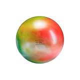 Gymnic Arte Plus 破裂防止エクササイズボール(55cm)
