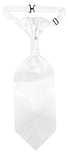 Image of Vesuvio Napoli PreTied ASCOT Solid PAISLEY Color Cravat Men's Neck Tie 21 Colors