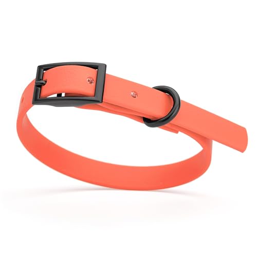Image of Dogline Biothane Waterproof Dog Collar Strong Coated Nylon Webbing with Black Hardware Odor- Proof for Easy Care Easy to Clean High Performance Fits Small Medium or Large Dogs, Coral