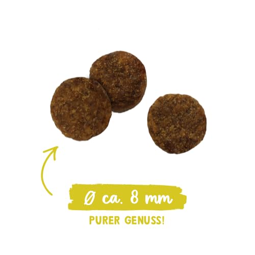 Sanabelle Classic Geflügel | Katzentrockenfutter für ausgewachsene Katzen (ab dem 12. Monat) | 1 x 10 kg (Neu) – Ansicht 5