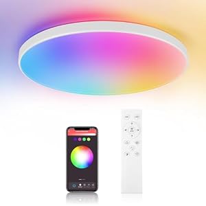 CANMEIJIA RGB Ceiling Light 24W Dimmable LED Ceiling Light,Bluetooth Bathroom Lights Ceiling with Remote Control,IP44 Waterproof Smart Ceiling Lights for Bedroom,Living Room