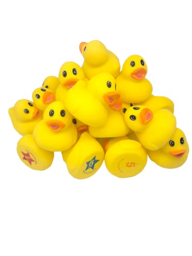 Yellow Rubber 2.5" Ducky Matching Game (20 Pack) 1 To 10 Numbers. Soft Rubber Duckies. (10 Starred & 10 Unstarred) Memory Game For Kids. Fun Educational Learning Toy Preshcoolers Develops Memory #TOP2