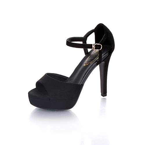 [CmV[Y] pvX 24.5cm Lo C T_  q[ 12cm fB[X hXr O Xg[ ANXgbv XG[h  ubN 22-25cm Cxg LohX s[X p[eB[