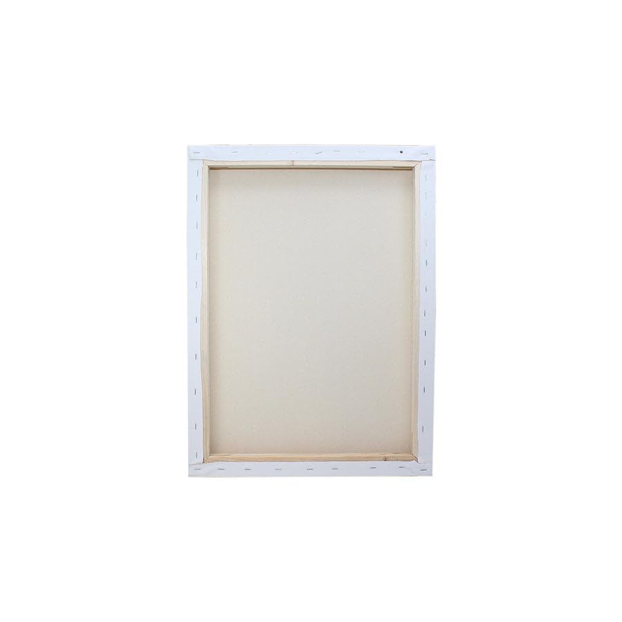 Little Birdie Pre Stretched Canvas with Wooden Frame for Painting 8x20 inch - 250gsm|100% Cotton Pre-Primed Canvas for Acrylic & Oil Colour Painting | Suitable for Artists, Students & Beginners 1