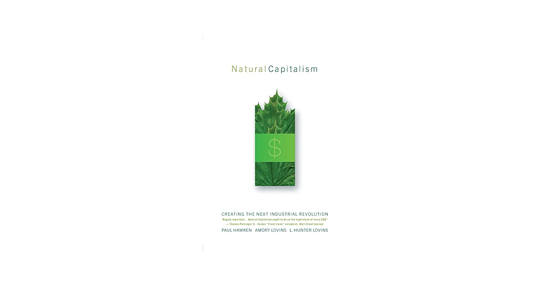 Natural Capitalism: Creating the Next Industrial Revolution